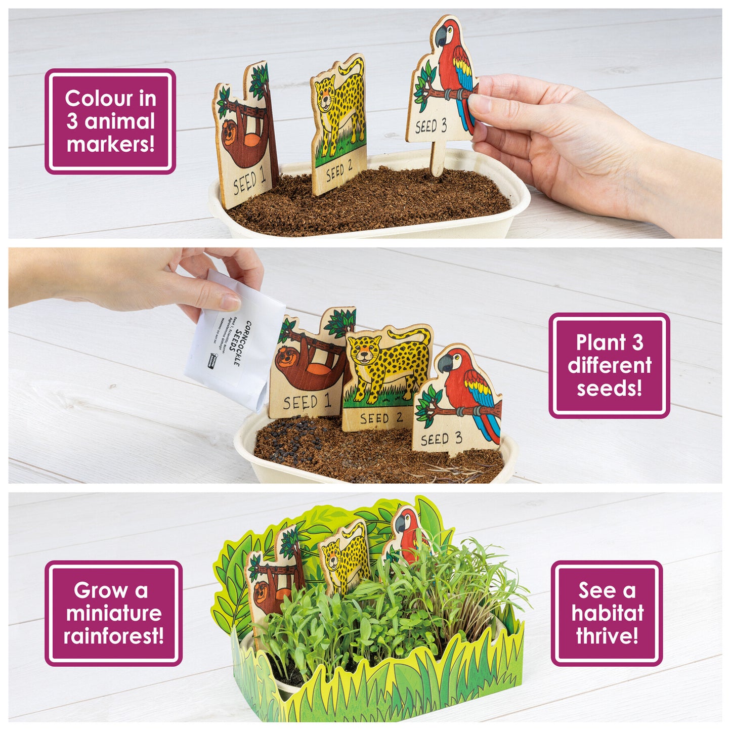 Explore and Discover - Nature Lab