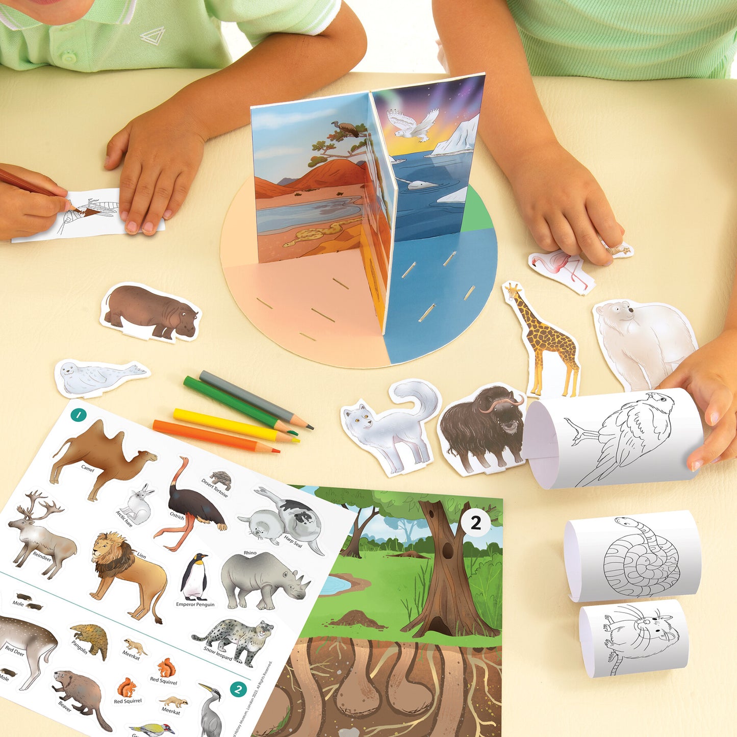 Let's learn animals NHM