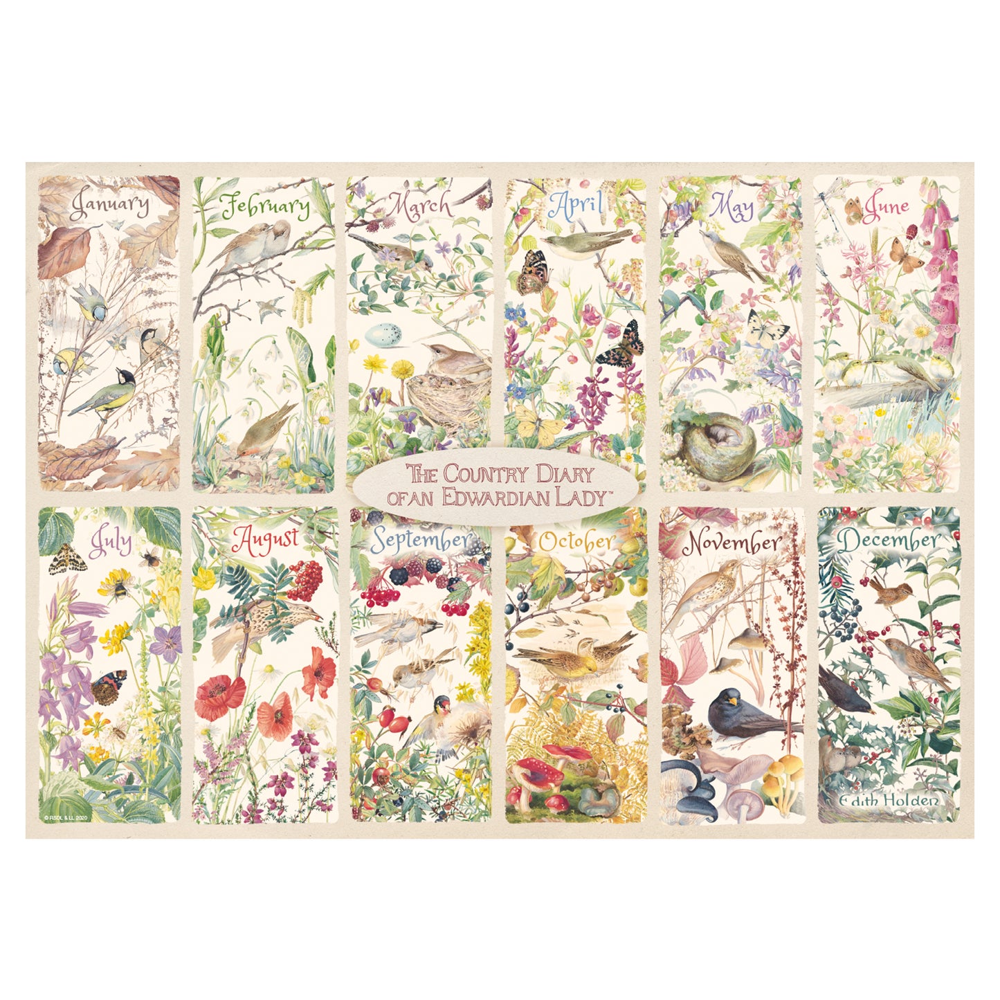 Falcon - A Year of The Country Diary (1000 pièces)