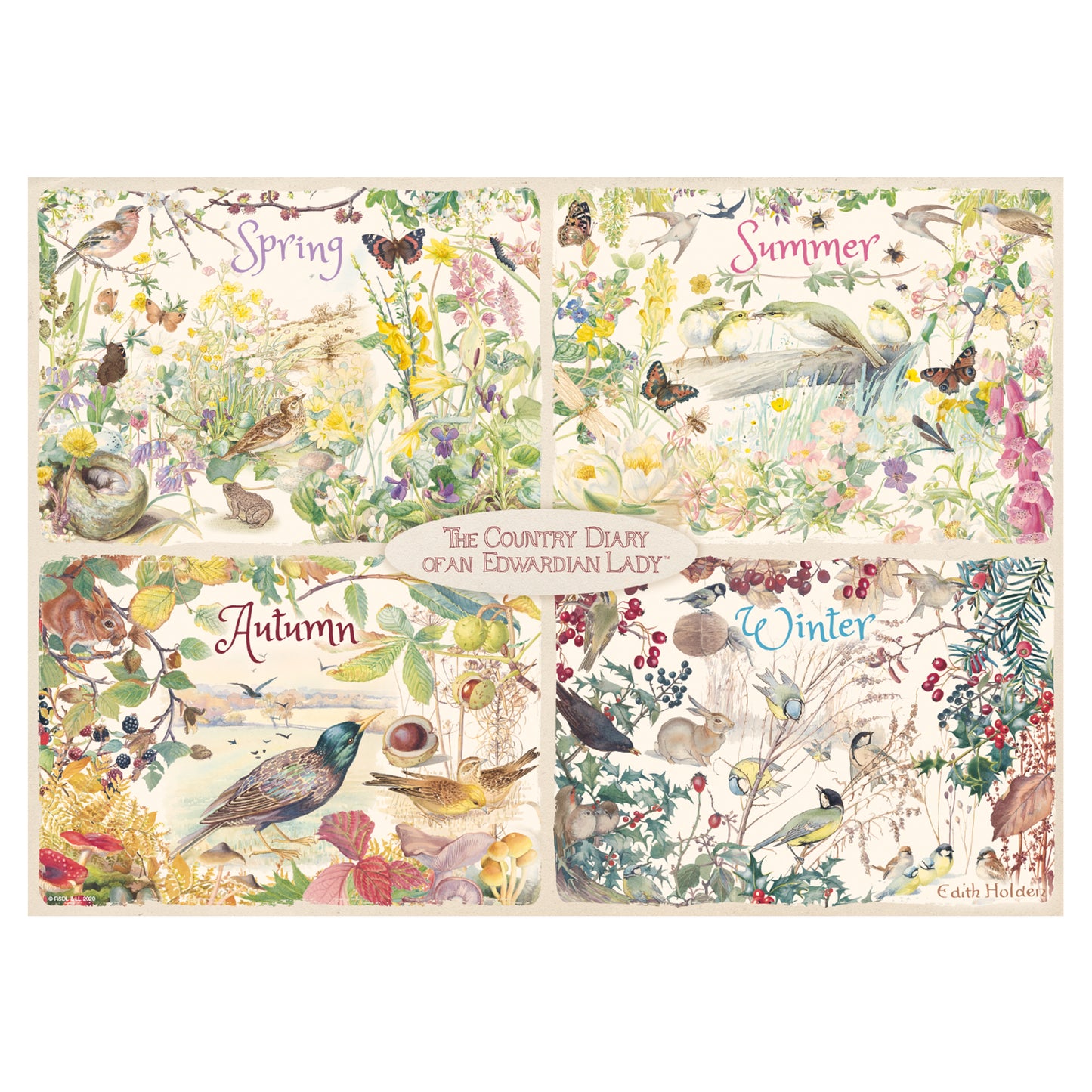 Falcon - The Country Diary 4 Seasons (1000 pièces)