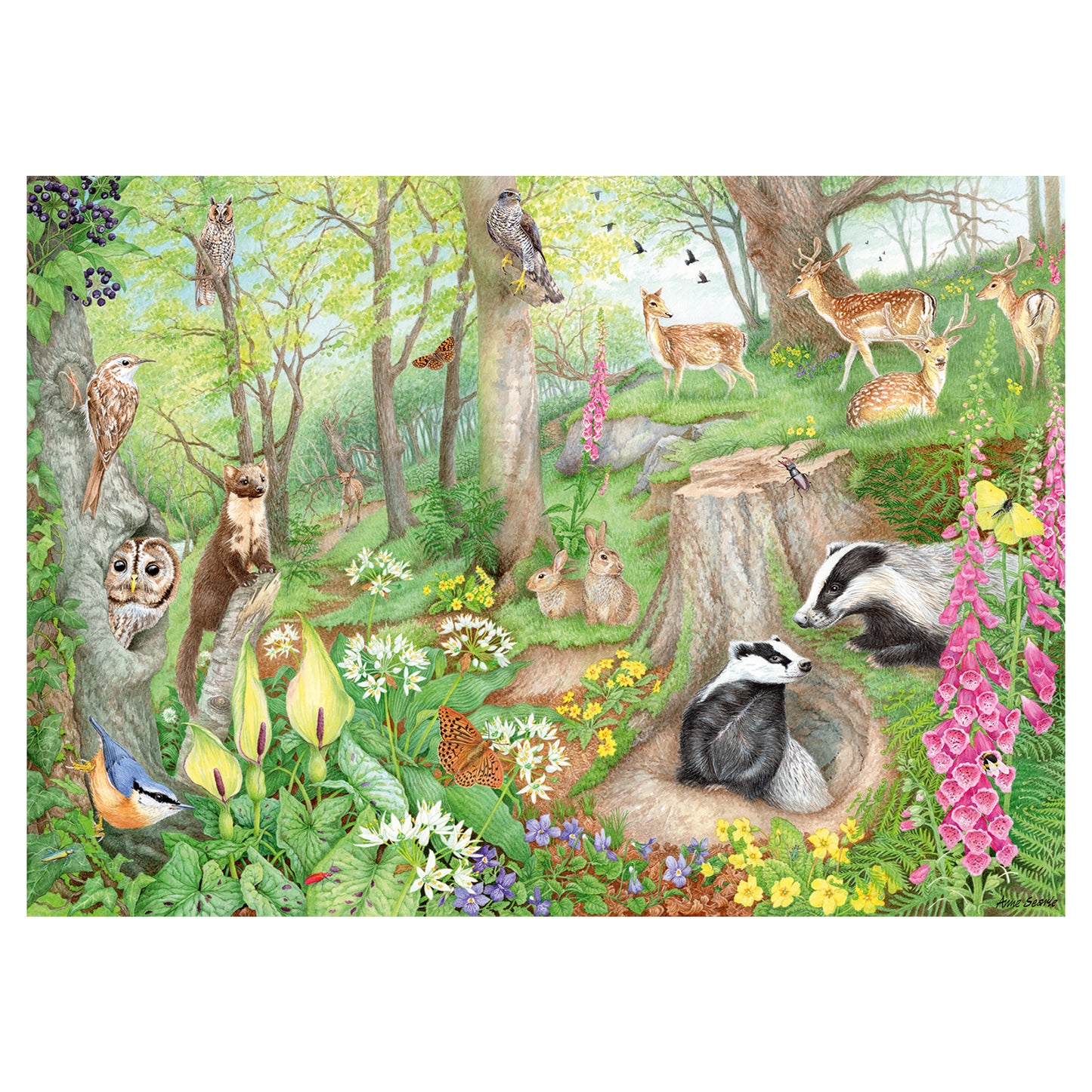 Falcon - Woodland Wildlife (1000 pièces)