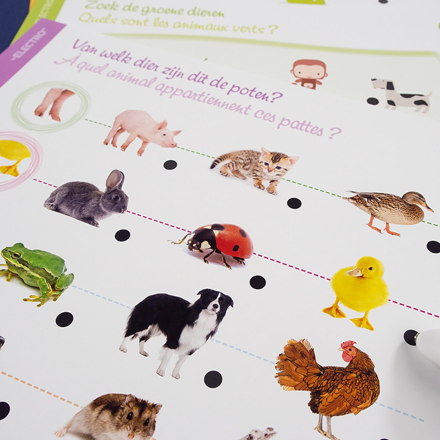 Electro - Ontdek De Dieren