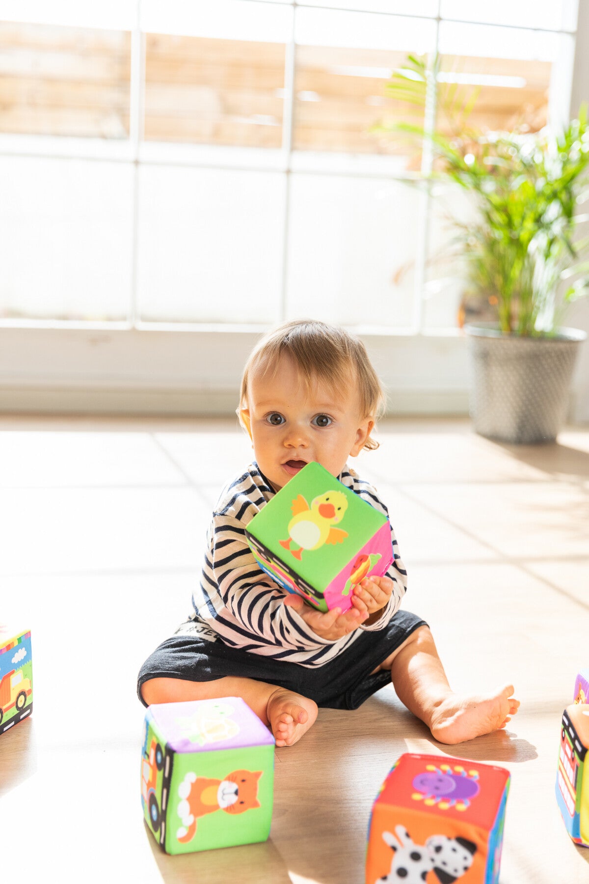 Bambino - Bloques blandos