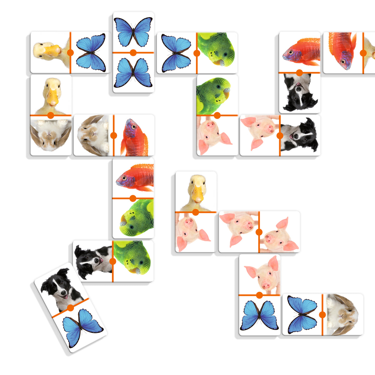 Yo Aprendo - Domino Photo Animals