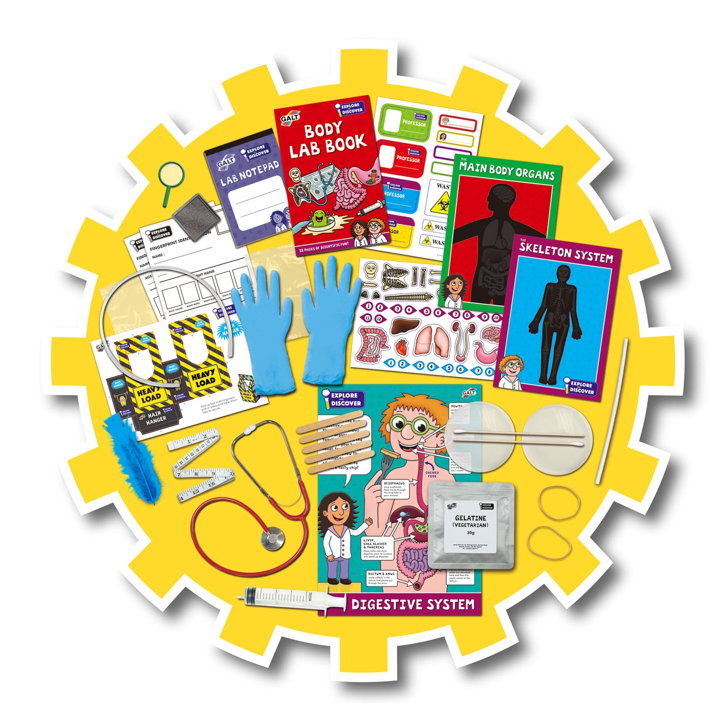 Explore and Discover - Body Lab