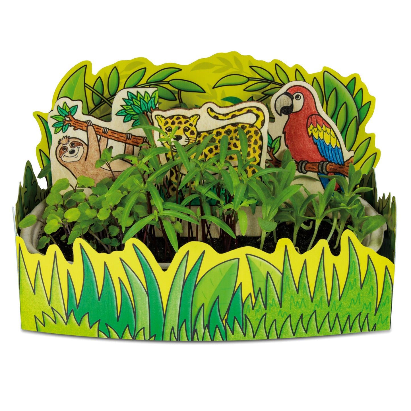 Explore and Discover - Nature Lab