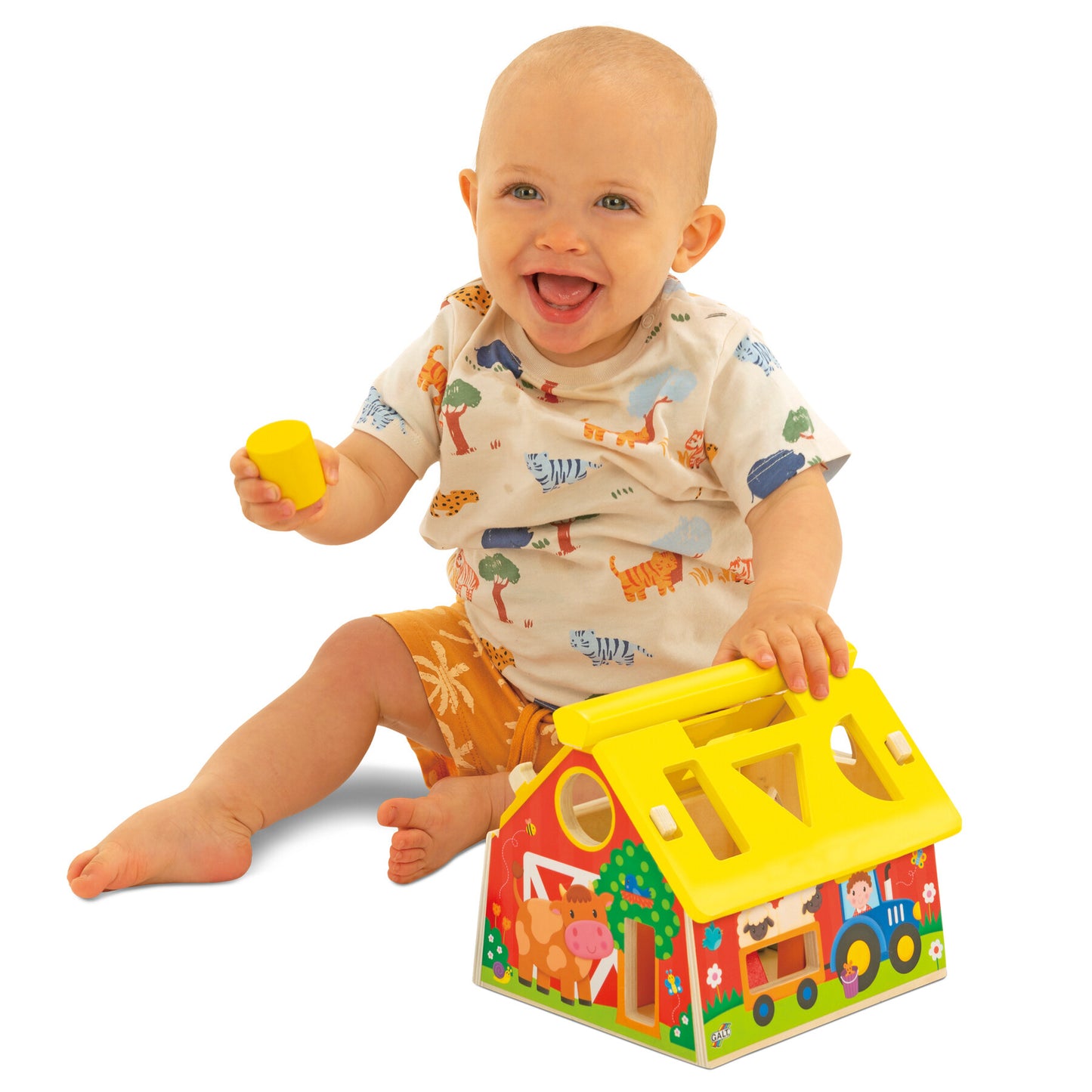 Post And Play Barn