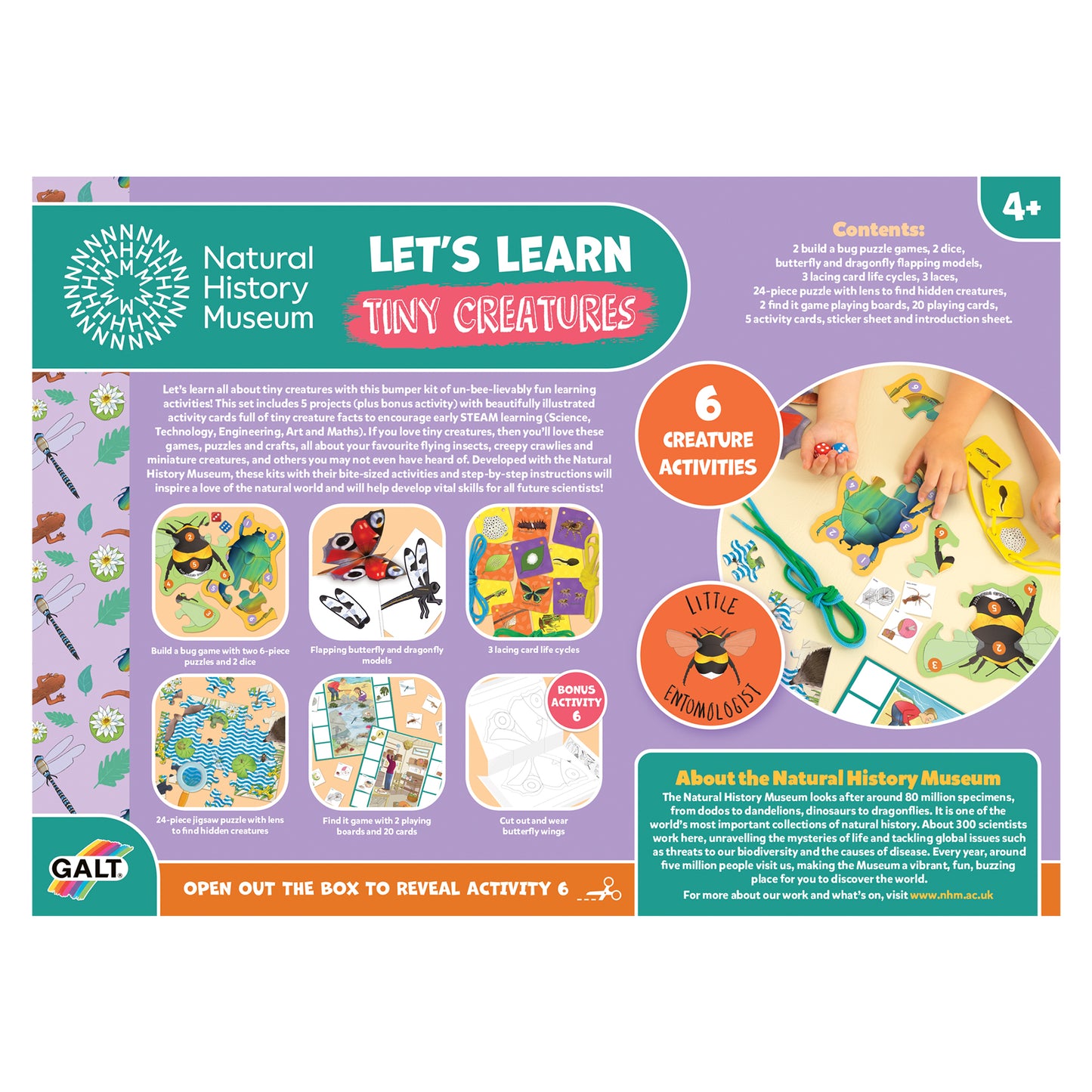 Let's Learn Tiny Creatures NHM