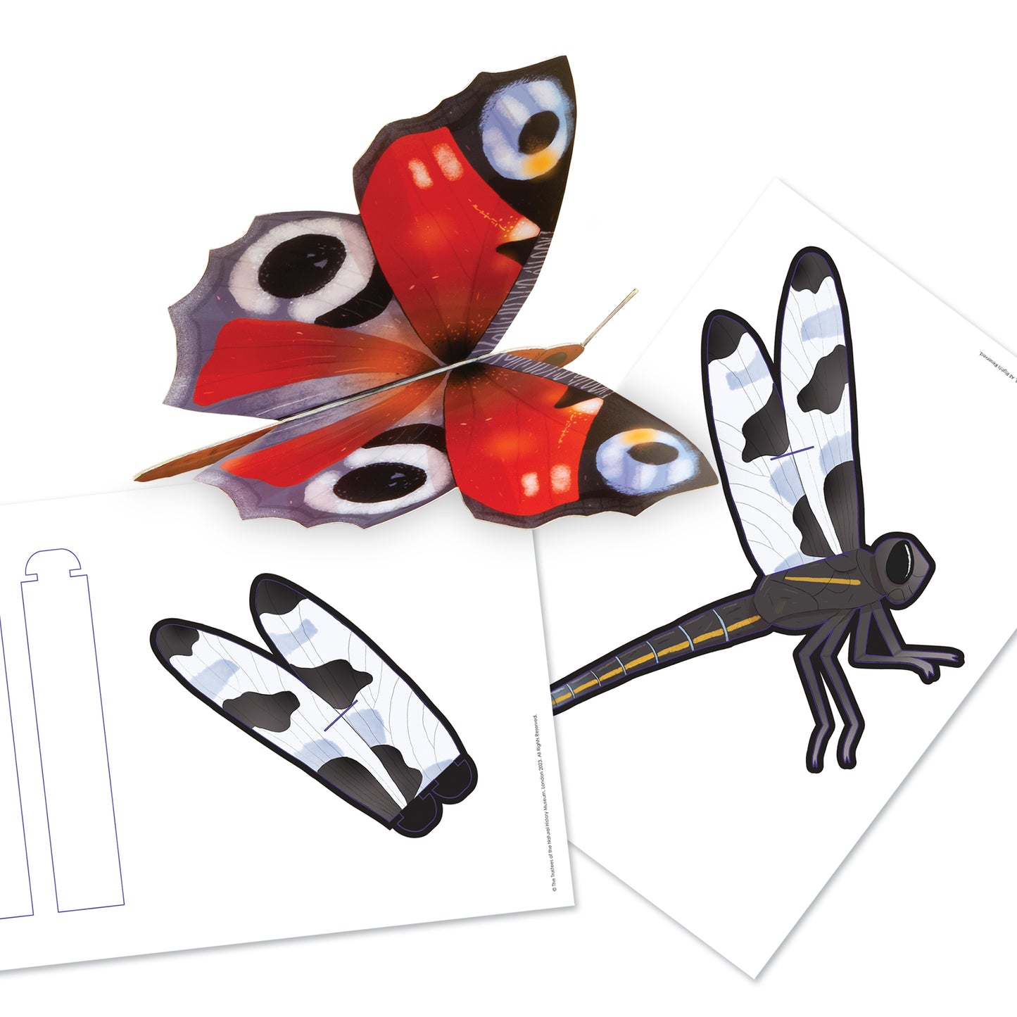 Let's Learn Tiny Creatures NHM