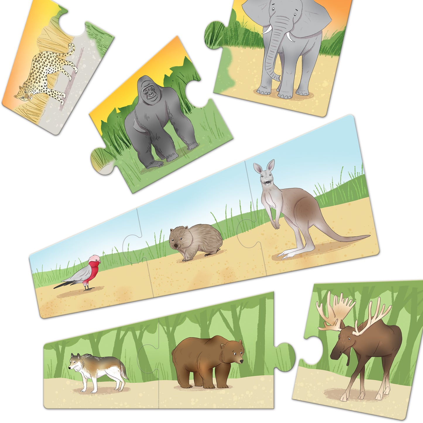 Let's learn animals NHM