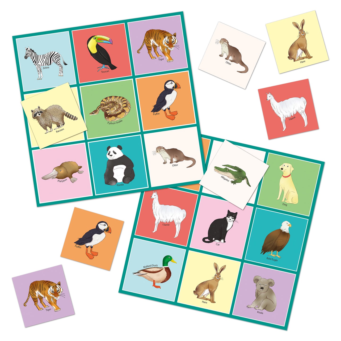 Let's learn animals NHM