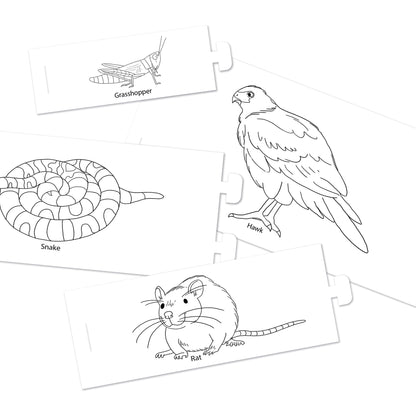 Let's learn animals NHM