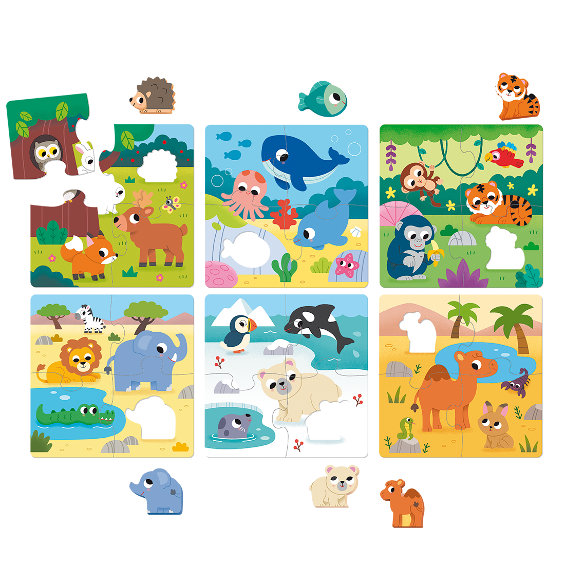 6 Habitat Puzzle