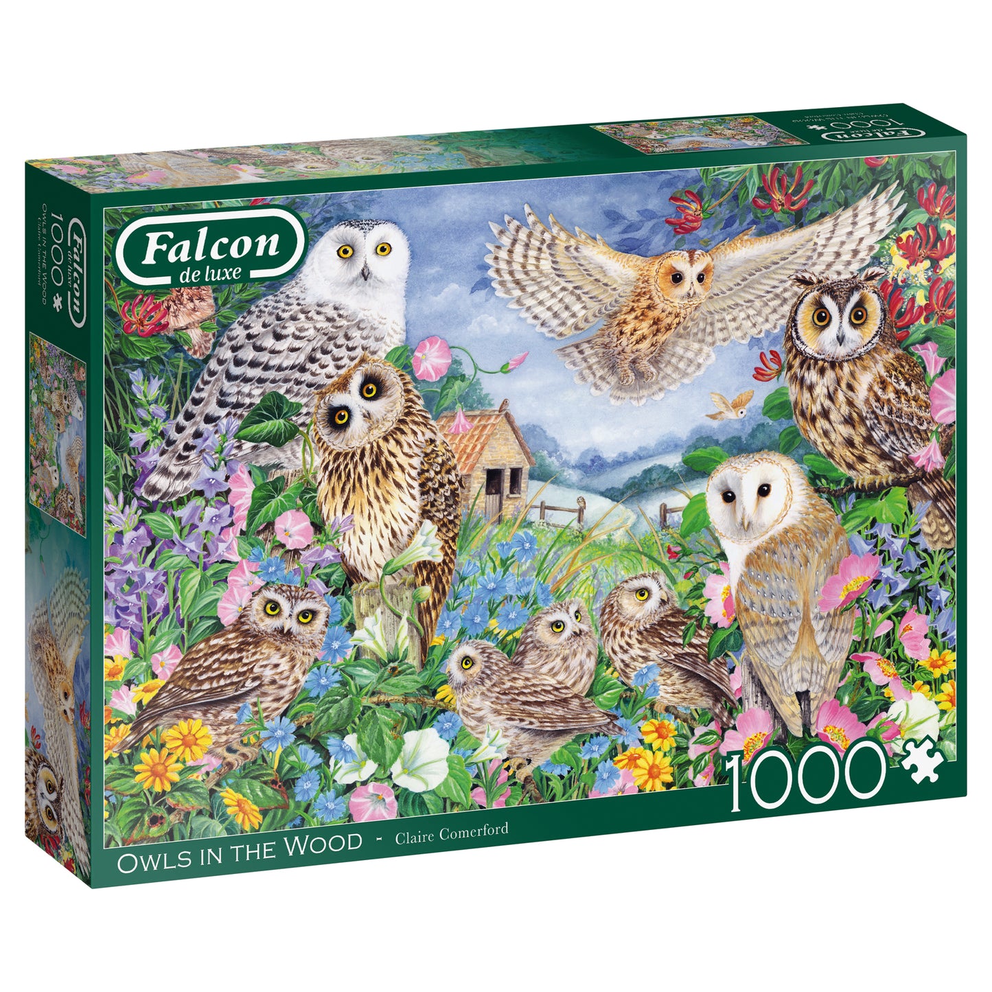 Falcon - Owls in the Wood (1000 pieces) - product image - Jumboplay.com
