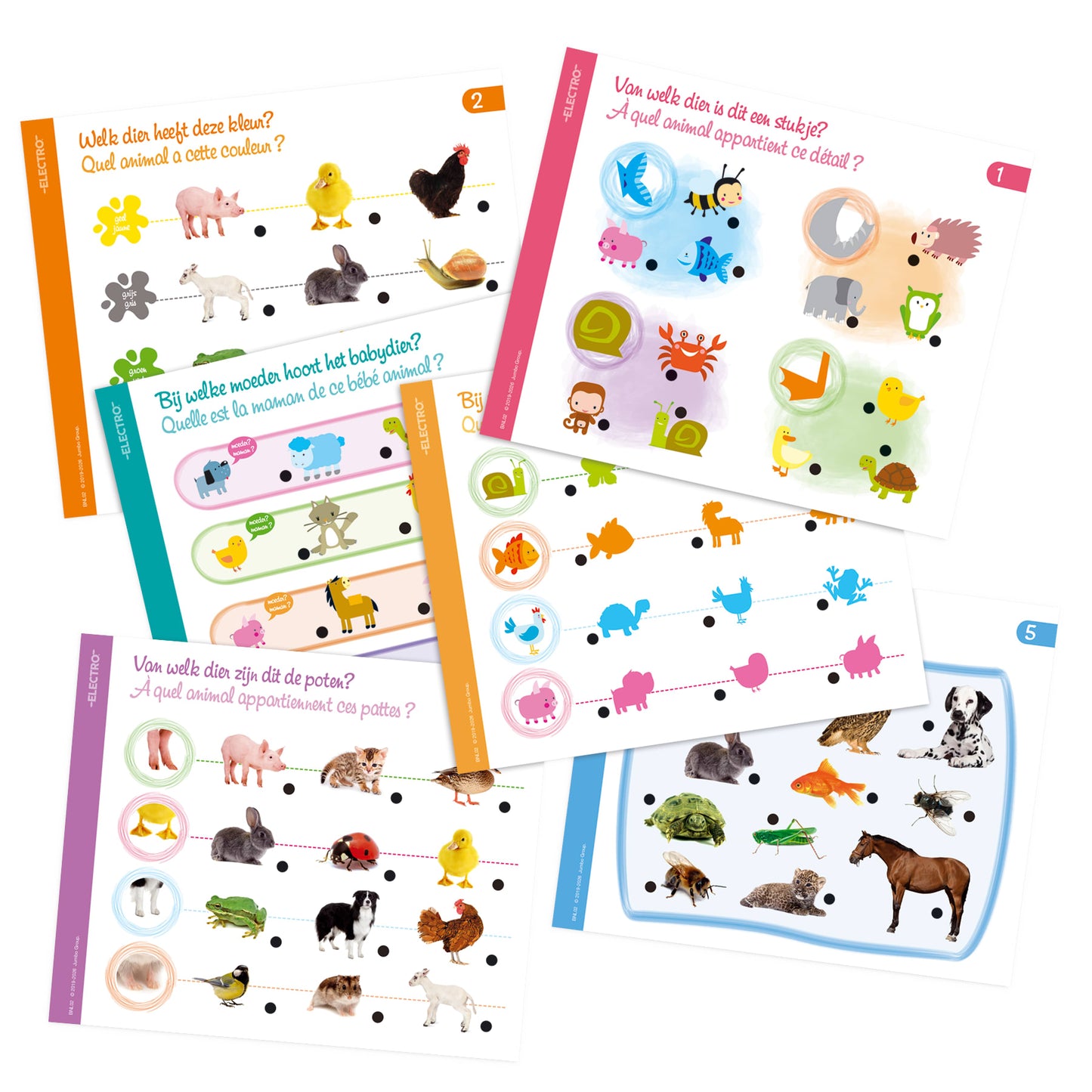 Electro - Ontdek De Dieren
