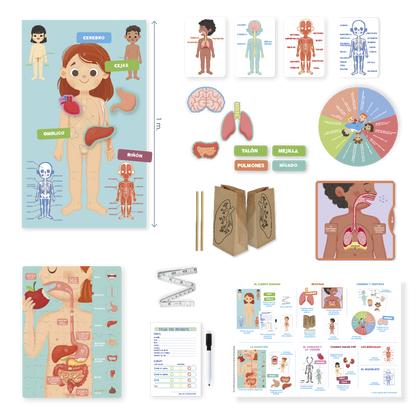 Aprendo en positivo - El Cuerpo Humano