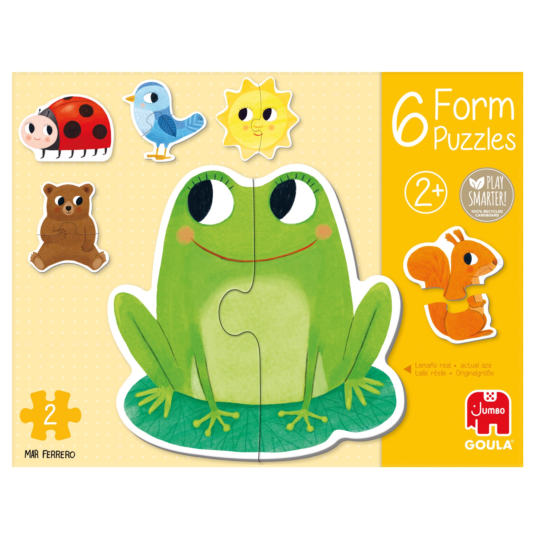 Form 6 puzzles - product image - Jumboplay.com