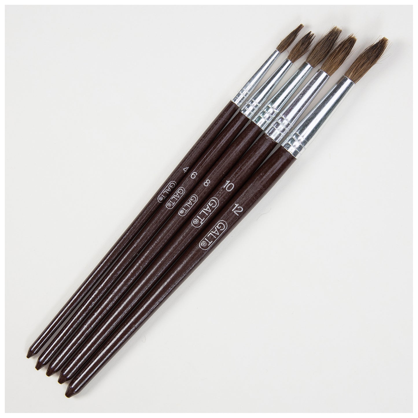 5 Paintbrushes (Soft)