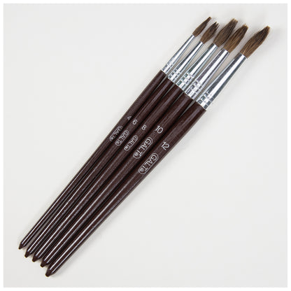 5 Paintbrushes (Soft)