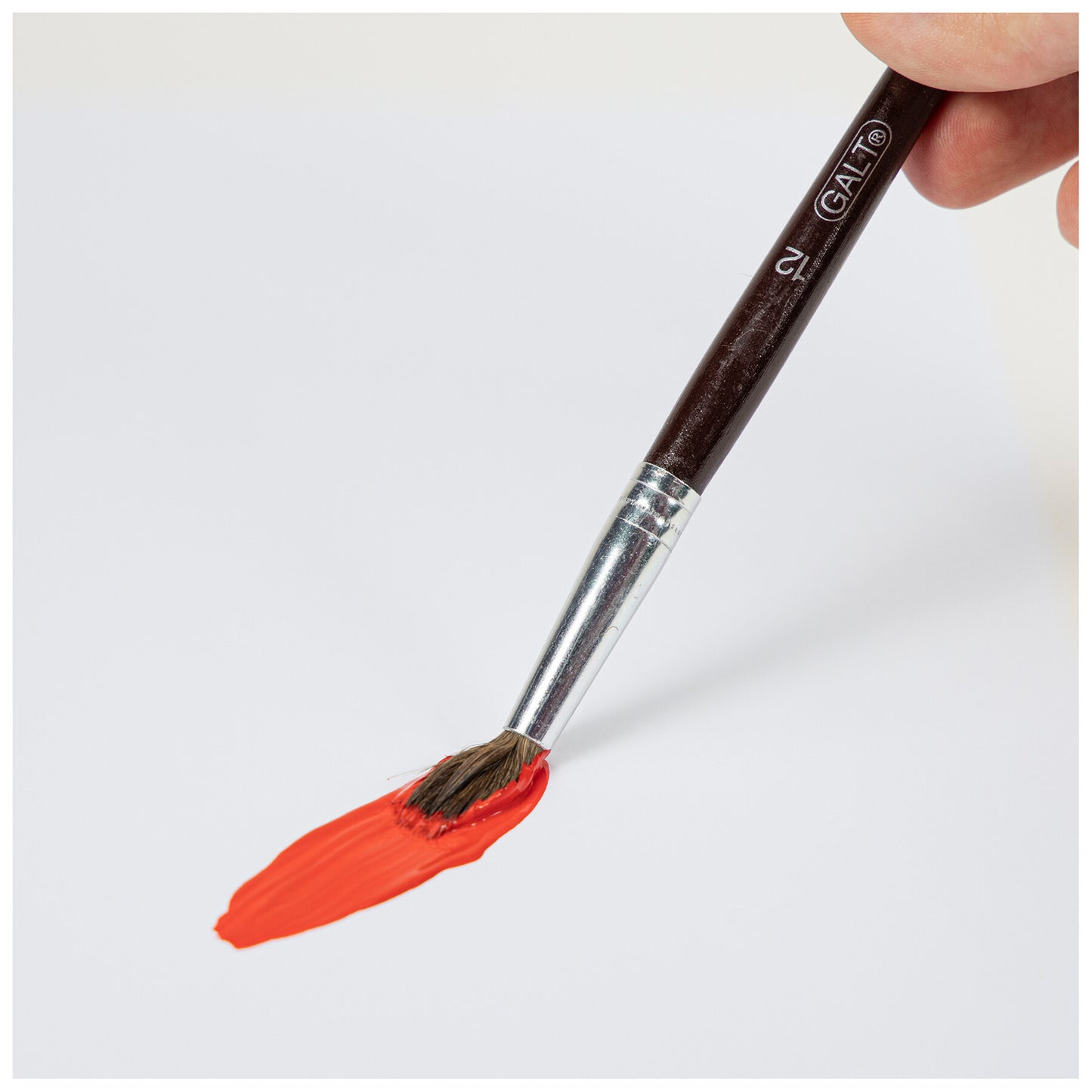 5 Paintbrushes (Soft)