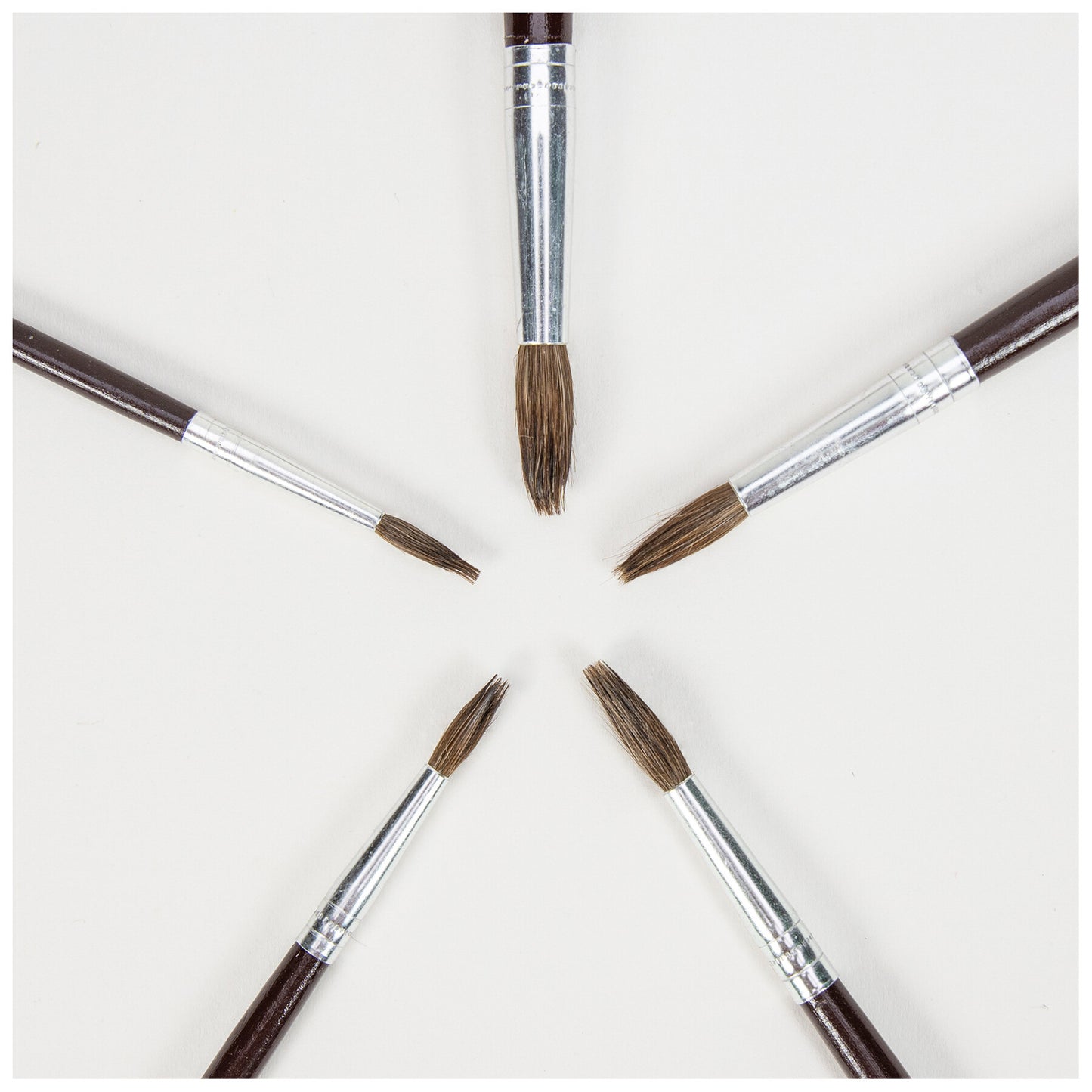 5 Paintbrushes (Soft)