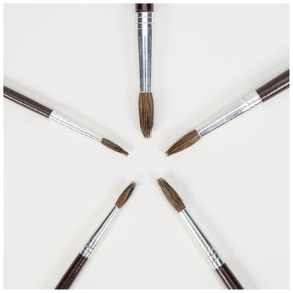 5 Paintbrushes (Soft)