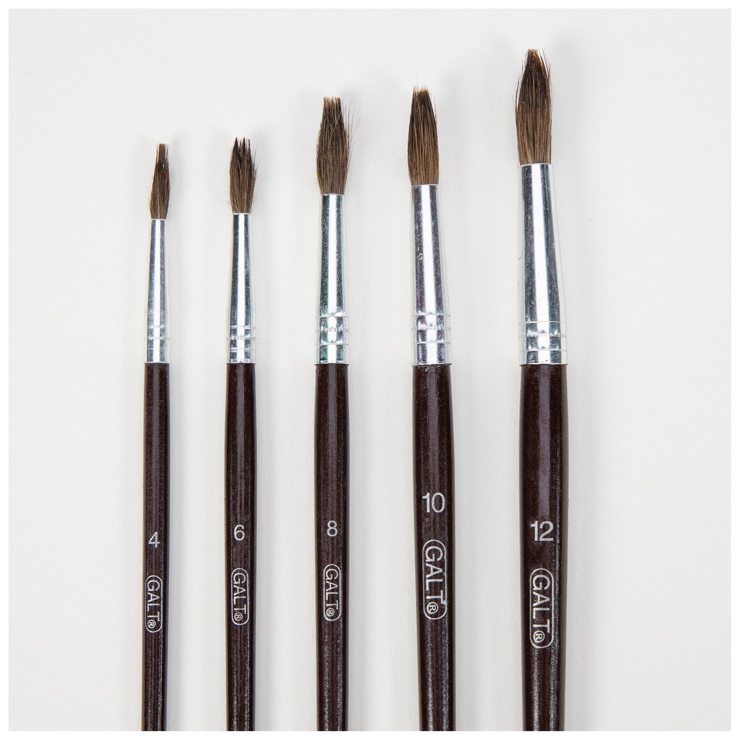 5 Paintbrushes (Soft)