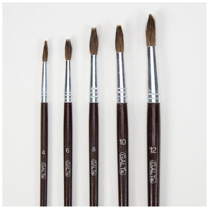 5 Paintbrushes (Soft)
