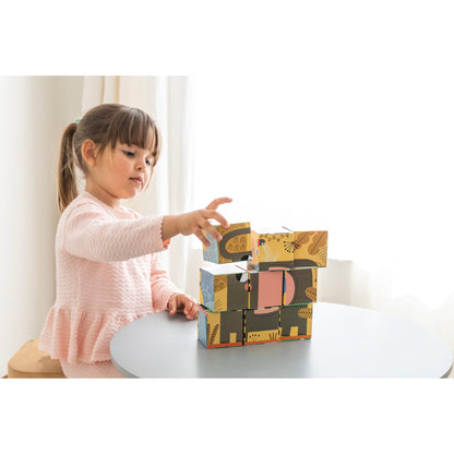 Goula -9 Cubic Puzzle